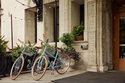 Chicago Athletic Association Hotel exterior