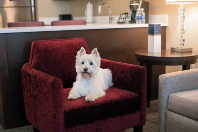 Amenities at Residence Inn Chicago Downtown/Loop/Loop