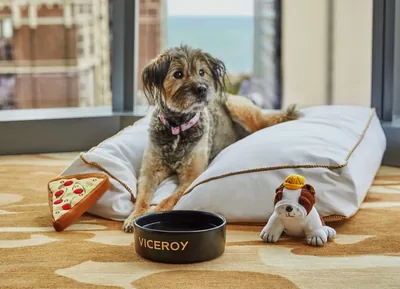 Amenities at Viceroy Chicago